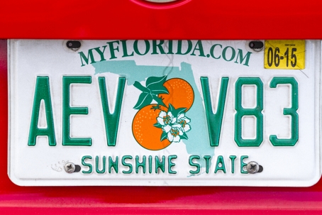 License Plate