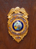 State Attorney Badge
